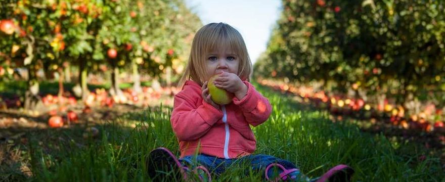 Dieta dla mózgu dziecka – tego nie może zabraknąć na talerzu!