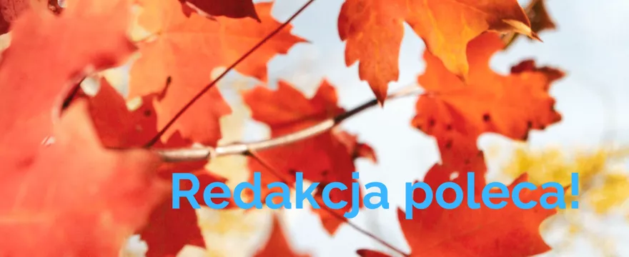 Redakcja poleca: listopadowe must have do domu i dla rodziny!